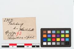 Etiketten zu Beinfibelbügelbesatz (NHMW-PRAE-023971)